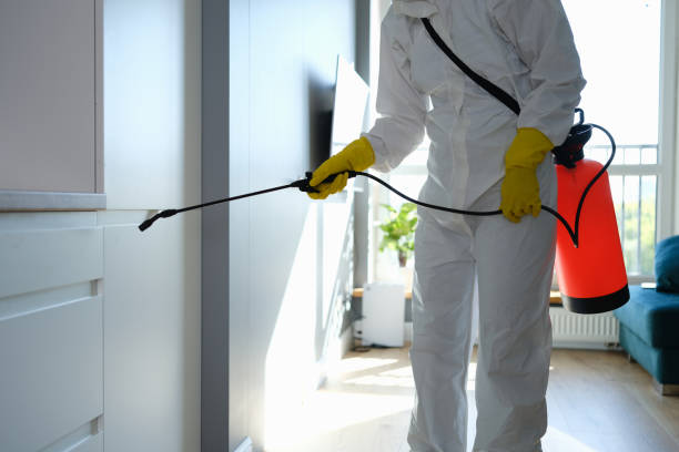 Best Industrial Mold Remediation in , NM